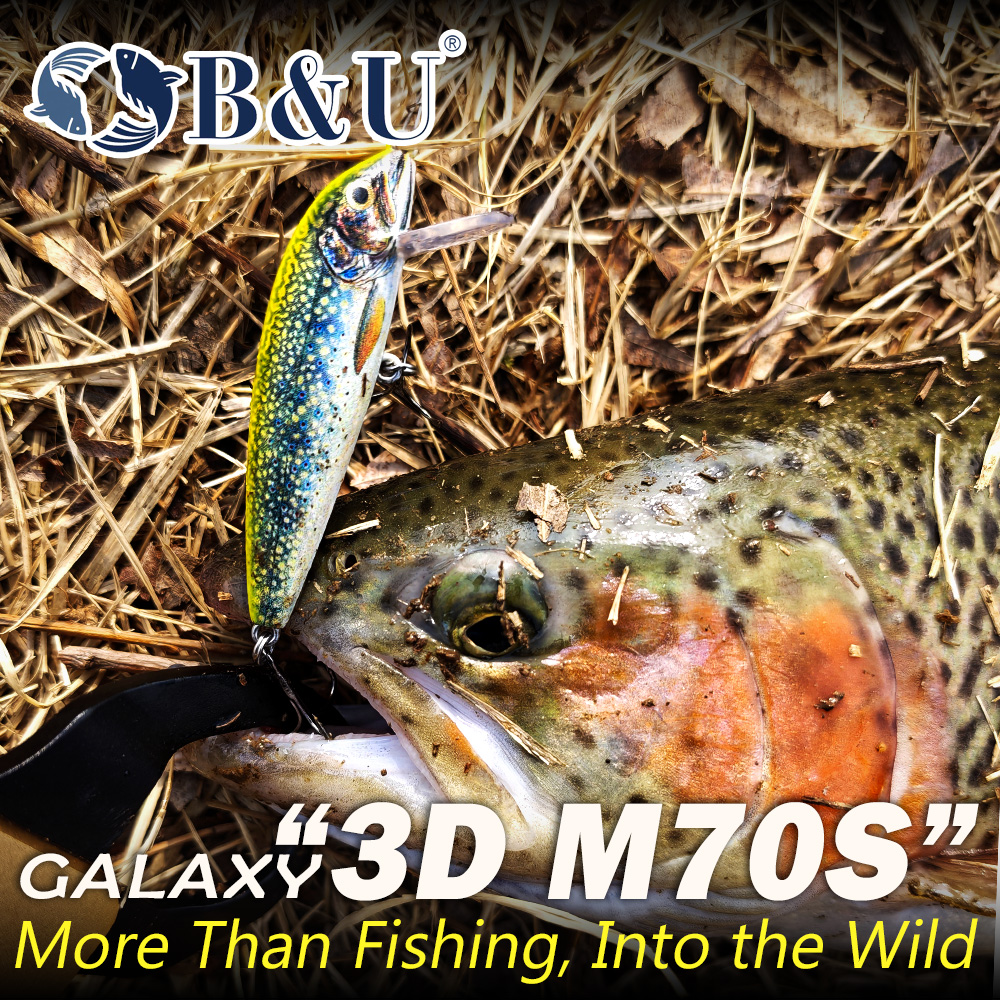 B&U Fishing Lures Sinking Minn – Fishing Lure Swimbait Bewertung und Preis