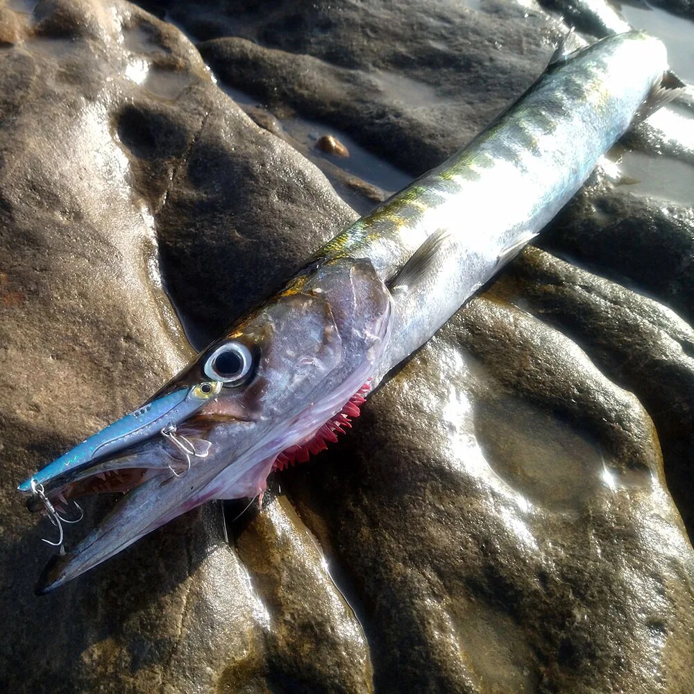 GOBAIT VIB Fishing Lure 20g 25 – Fishing Lure Blade Bait Bewertung und Preis