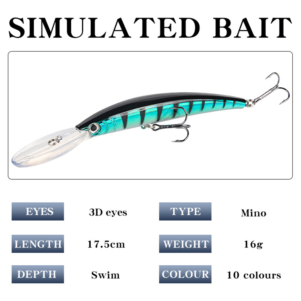 Long Tongue Minnow Fishing Lur – Fishing Lure Jerkbait Bewertung und Preis