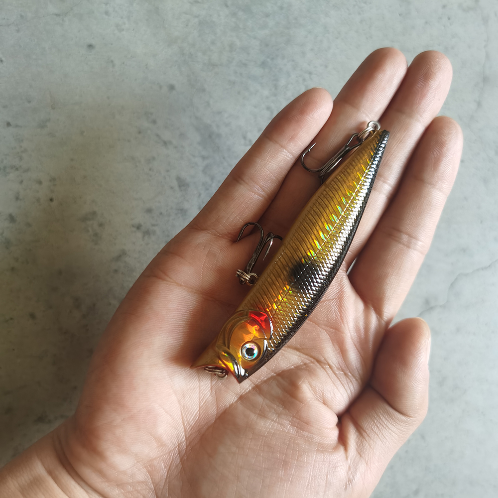 1pcs Fishing Lures High Qualit – Fishing Lure Popper Bewertung und Preis